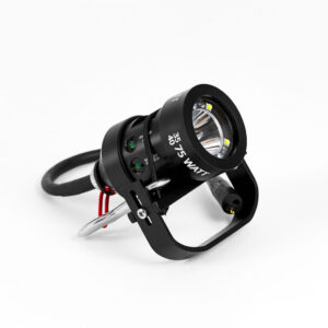 Yellow Diving: Head  L75 E/O