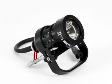 Yellow Diving: Head L75 E/O