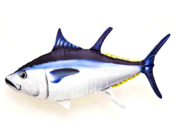 Gaby: Atlantische blauwvintonijn kussen