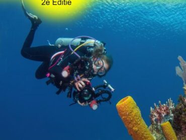 DUIK IN DE WERELD VAN DE ONDERWATERVIDEOGRAFIE