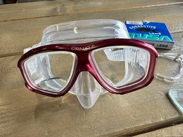 Masker met leeslenzen 1